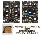 Instruō Lúbadh - ステレオ ルーパー / arbhar グラニュラ プロセッサー 遂に発売！