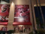 頑張れ大谷翔平！