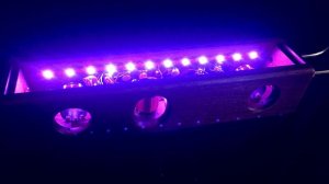 画像10: Hobbs Theremin Standard　要予約