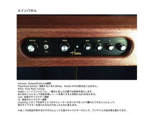 画像18: Hobbs Theremin Standard　要予約