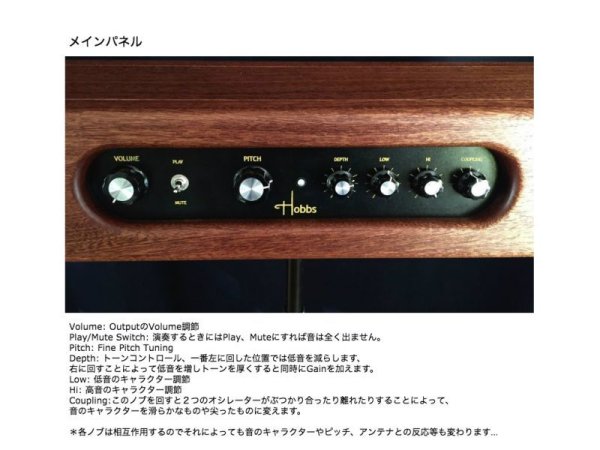 画像18: Hobbs Theremin Standard　要予約 (18)