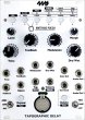 画像2: 4ms  Tapographic Delay (TAPO)  (2)
