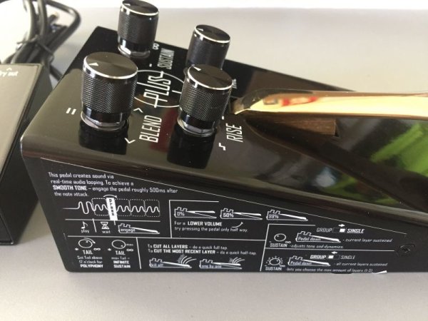 画像4: GAMECHANGER AUDIO PLUS PEDAL W/FOOTSWITCH　 (4)