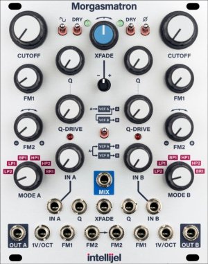 画像1: Intellijel Designs  Morgasmatron