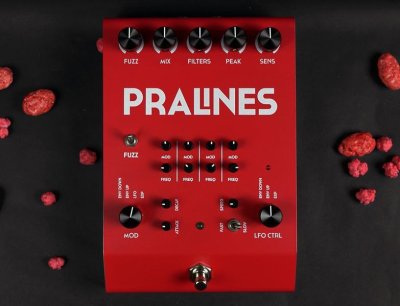 画像2: GLOU GLOU PRALINES