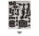 画像1: Noise Engineering  Loquelic Iteritas Percido　 (1)