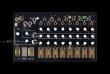 画像2: Make Noise 0-CTRL デスクトップ コントローラー ステップシーケンサー 次回入荷分 (2)
