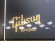 画像19: Gibson Firebird T 2017  ギブソン ファイヤーバード   Pelham Blue 売却済 (19)