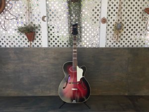 画像2: Hohner France Holiday Jazz Guitar Vintage / Made in Germany c.1961(?) レアビンテージ アーチトップ アコースティック