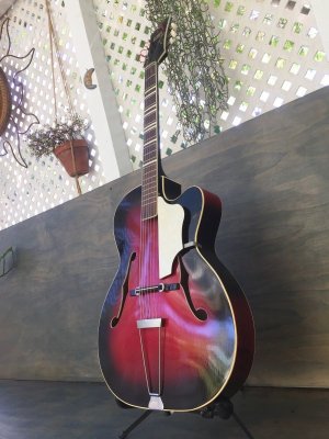 画像5: Hohner France Holiday Jazz Guitar Vintage / Made in Germany c.1961(?) レア　売却済