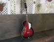 画像1: Hohner France Holiday Jazz Guitar Vintage / Made in Germany c.1961(?) レア　売却済 (1)