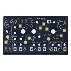 画像2: Make Noise Strega　次回入荷分