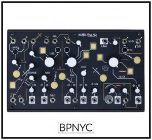 画像1: Make Noise Strega　次回入荷分