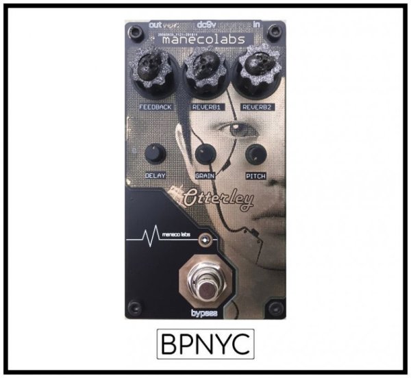 画像2: Maneco Labs Otterley - Reverb pedal (2)