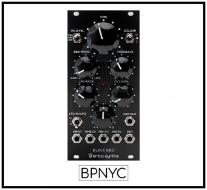 画像1: Erica Synths  Black BBD