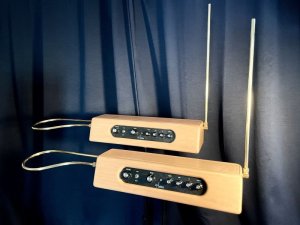 画像1: Hobbs Theremin Standard　要予約