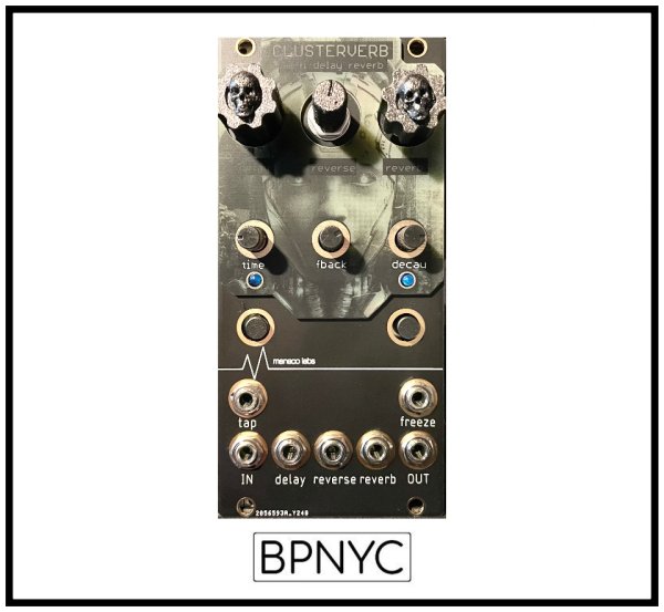画像1: Maneco Labs CLUSTERVERB - Delay/Reverb ユーロラック　 (1)