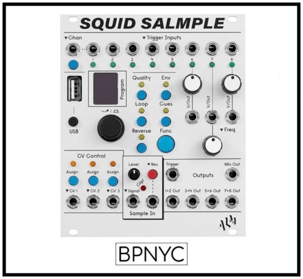画像1: ALM Busy Circuits Squid Salmple　次回入荷分 (1)
