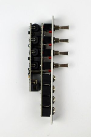 画像4: Divkid Mutes