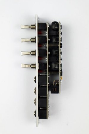 画像5: Divkid Mutes