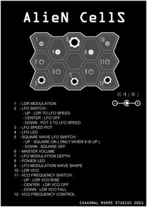 画像2: EXAGONAL ROOMS  ALIEN CELLS