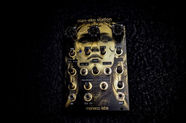 画像2: Maneco Labs man-eko station (eurorack)　 (2)