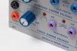 画像3: Buchla & Tiptop Audio SOURCE OF UNCERTAINTY MODEL 266t　 (3)