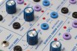 画像4: Buchla & Tiptop Audio SOURCE OF UNCERTAINTY MODEL 266t　 (4)