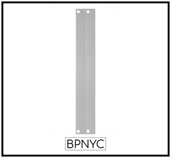画像1: Buchla & Tiptop Audio Two 2HP Blank Panel　 (1)