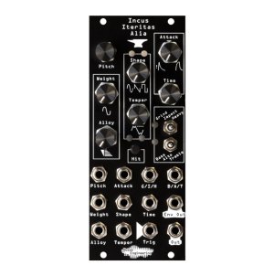 画像2: Noise Engineering  Incus Iteritas Alia 　次回入荷分