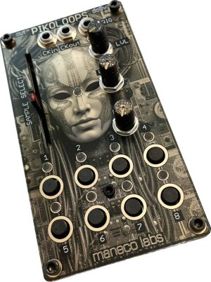 画像2: Maneco Labs PIKOLOOPS PEDAL/ TABLETOP VERSION