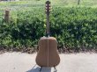 画像6: Guild DV52-NT 1994 with OHSC　売却済 (6)
