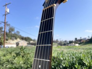 画像13: Guild DV52-NT 1994 with OHSC