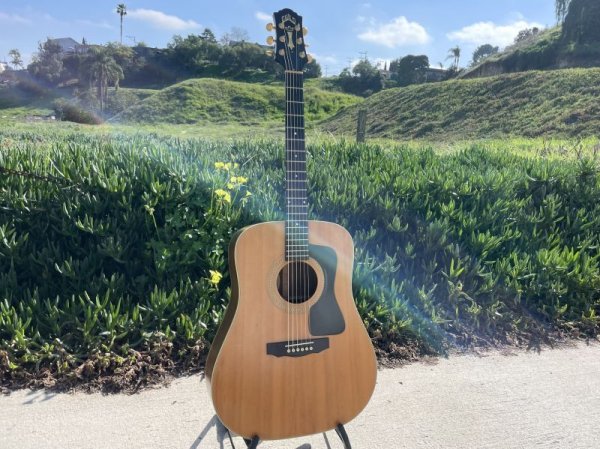 画像3: Guild DV52-NT 1994 with OHSC　売却済 (3)