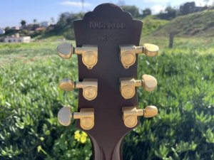 画像9: Guild DV52-NT 1994 with OHSC