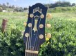 画像4: Guild DV52-NT 1994 with OHSC　売却済 (4)