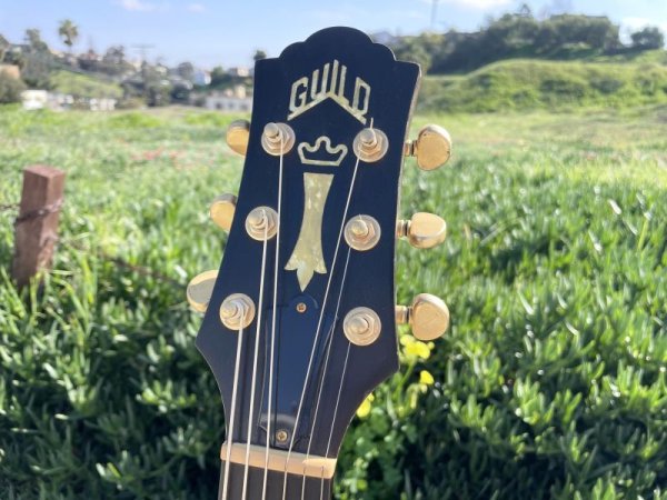 画像4: Guild DV52-NT 1994 with OHSC　売却済 (4)