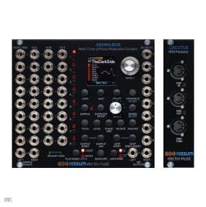 画像1: Rossum Electro-Music Assimil8or + Locutus(MIDI expander) BUNDLE　