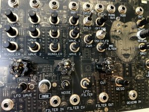 画像2: Maneco Labs GRONE MANECOLIN (eurorack)　次回入荷分