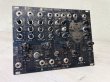 画像4: Maneco Labs GRONE MANECOLIN (eurorack)　 (4)