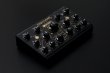 画像3: Erica Synths  NIGHTVERB　次回入荷分 (3)