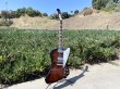 画像9: Gibson Firebird 2019 Tobacco Burst　売却済 (9)