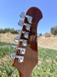 画像10: Gibson Firebird 2019 Tobacco Burst　売却済 (10)
