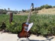 画像5: Gibson Firebird 2019 Tobacco Burst　売却済 (5)