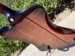 画像14: Gibson Firebird 2019 Tobacco Burst　売却済 (14)