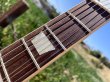 画像15: Gibson Firebird 2019 Tobacco Burst　売却済 (15)