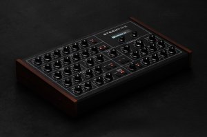 画像4: Erica Synths  Steampipe　要予約