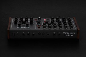 画像5: Erica Synths  Steampipe　要予約