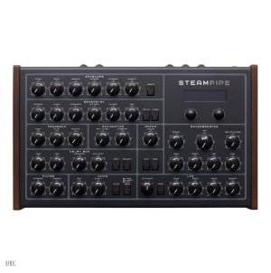 画像1: Erica Synths  Steampipe　要予約
