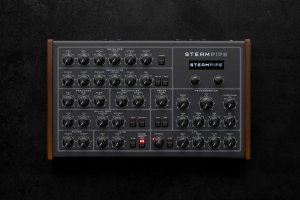 画像2: Erica Synths  Steampipe　要予約